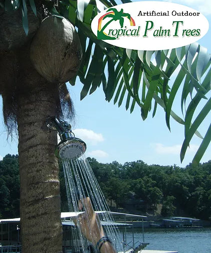 Shower Palm