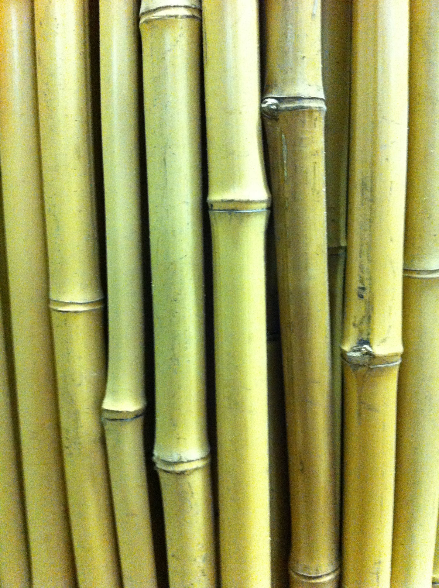 Bamboo Fencing - Natural