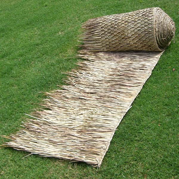 Latin Thatch Roll