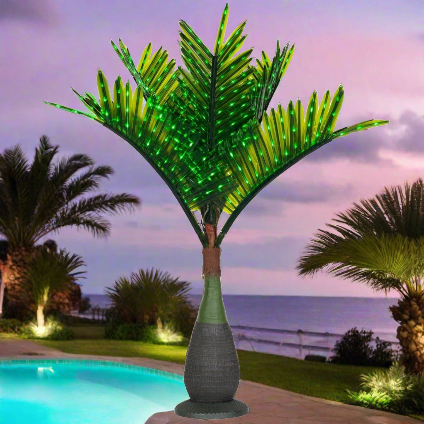 Bottle Palm - My Store