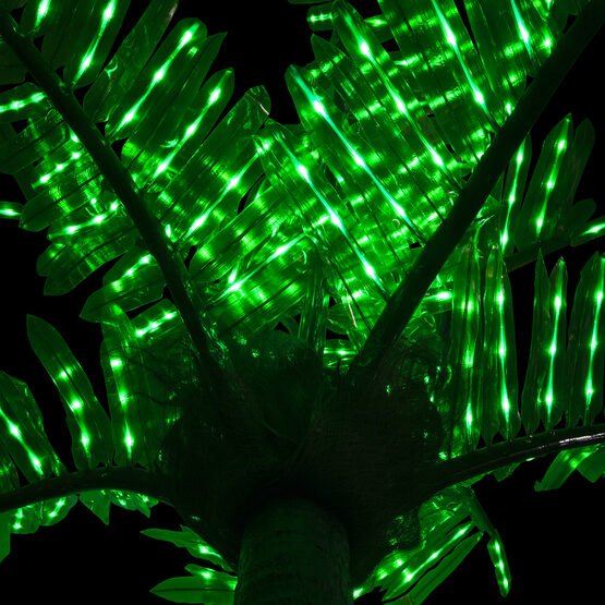 LED Palm Tree - My Store