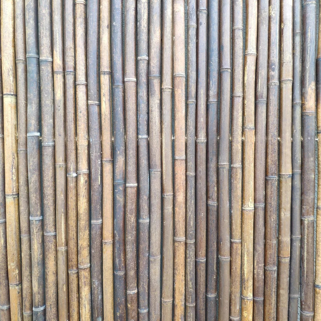 Dark Carbonized Bamboo Fencing