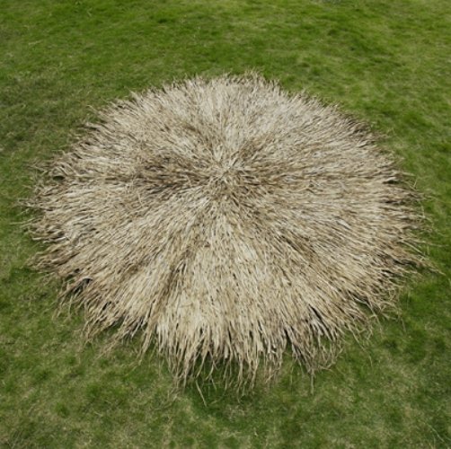 12' Round Asian Thatch Cover - My Store
